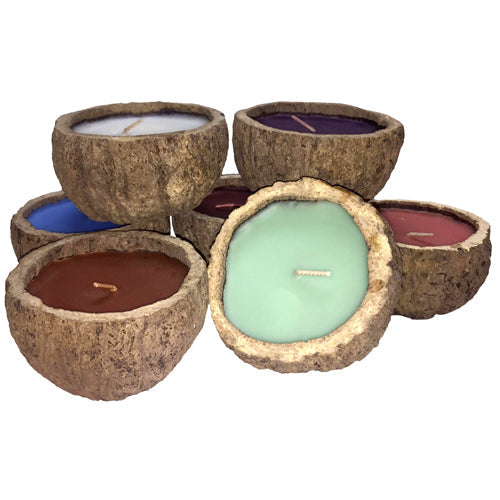 Brazil Nut Candle — Rainforest Handcrafted, 7 Exotic Scents