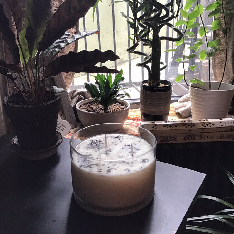 Blushbeam Lavender Bloom Candle